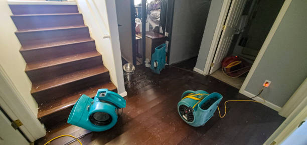 Best 24-hour water damage restoration  in Janesville, IA