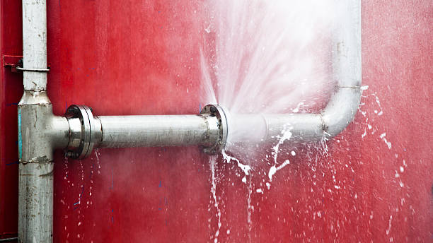 Best Fire Damage Restoration  in Janesville, IA